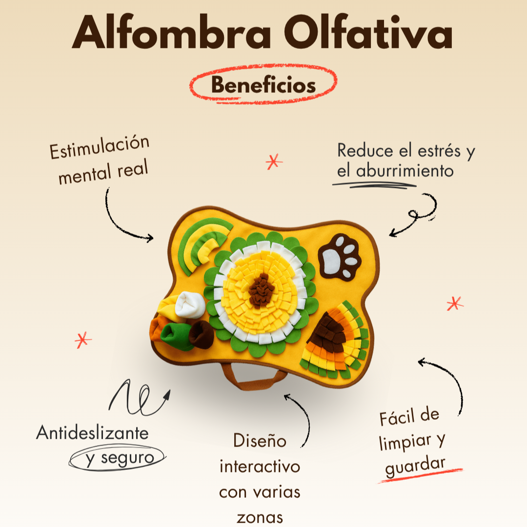 Feature product image