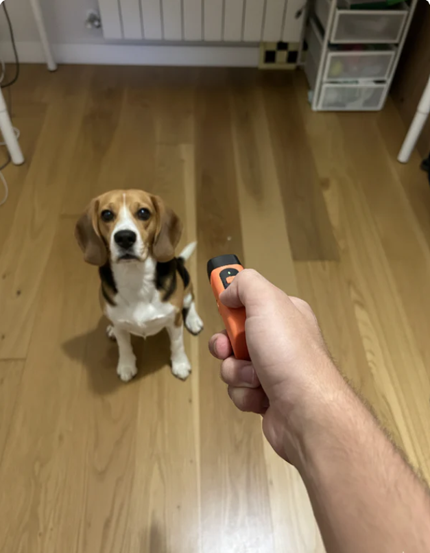 Review by David Glez.