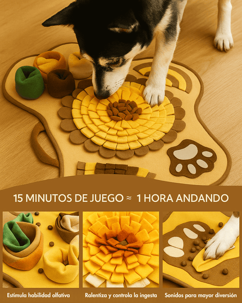 Alfombra Olfativa iPets®