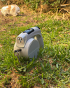 iPets® Correa 6 en 1